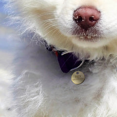 Solid Brass Tags - 100 Pcs/Box- Auto Lock Supplier -key_supplier_in_canada locksmith_supplier_in_canada #