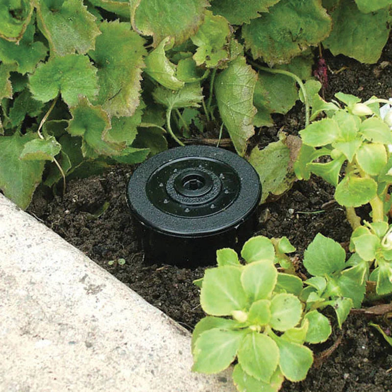 Sprinkler Key Hider | 12 pcs / Box- Auto Lock Supplier -key_supplier_in_canada locksmith_supplier_in_canada #